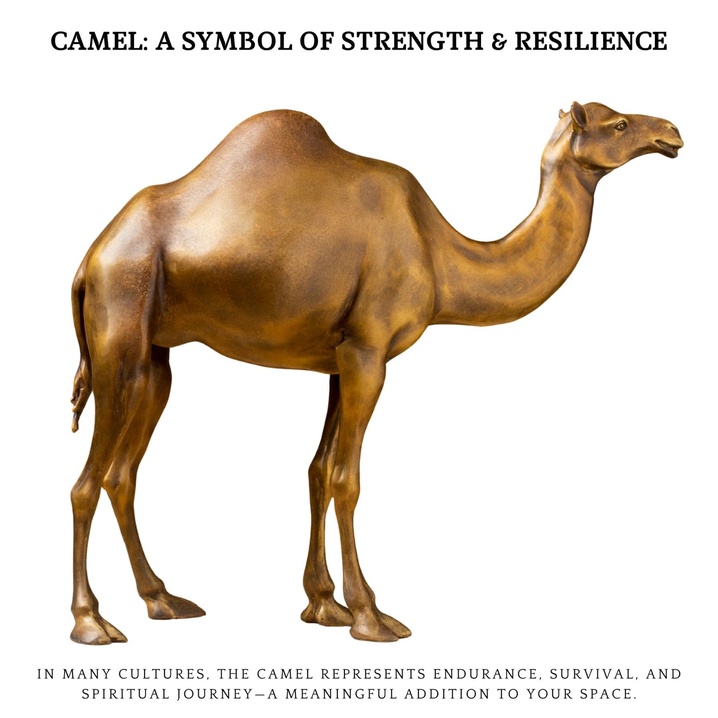 Bronze Camel Sculpture, Solid Brass Desert Animal Statue Art Collectible, Hand-Crafted Lost-Wax Camel Figurine for Gift Home or Office Decor