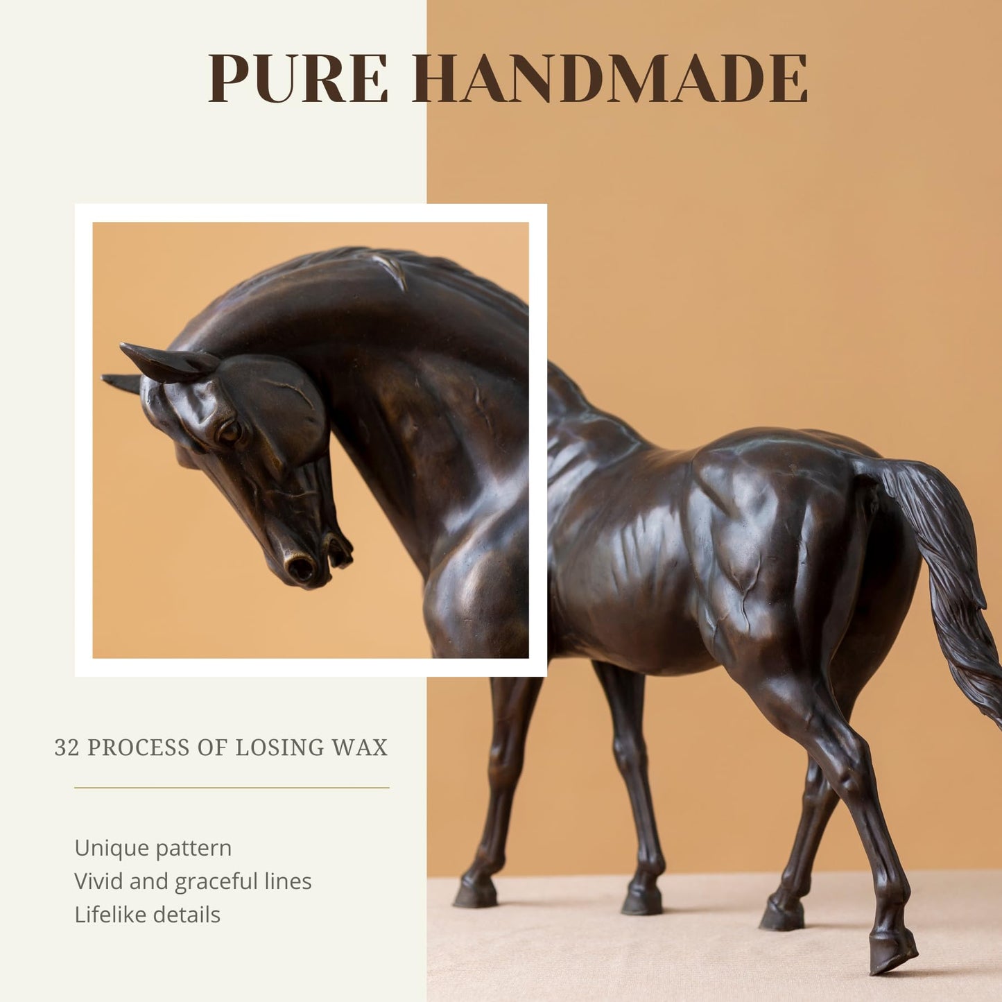 Andalusian (Pure Spanish Horse) or Thoroughbred Horses