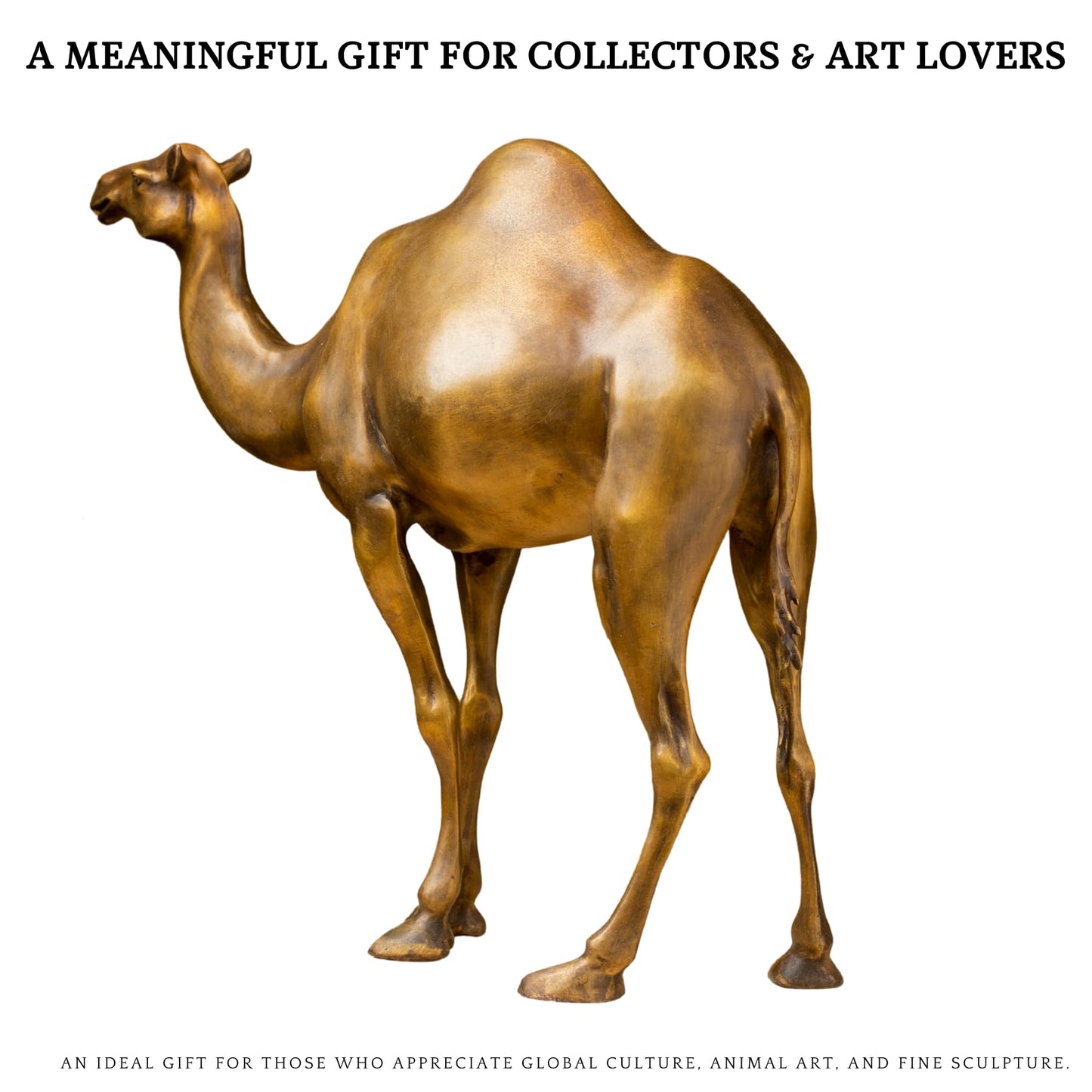 Bronze Camel Sculpture, Solid Brass Desert Animal Statue Art Collectible, Hand-Crafted Lost-Wax Camel Figurine for Gift Home or Office Decor