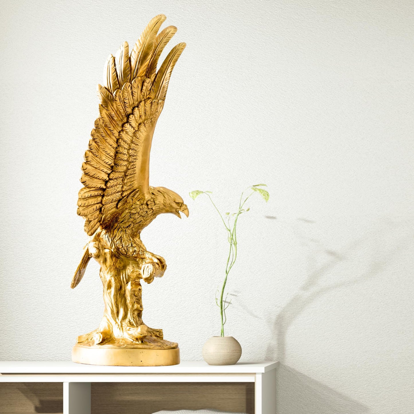 50-80cm Spread Eagle