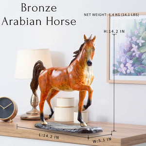 Bronze Arabian Horse sculpture feature card displayed on shelf with framed wall art behind