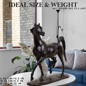 Midnight black Arabian stallion bronze sculpture ideal size and weight chart beside window