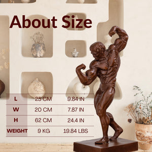 Bodybuilder bronze statue size chart showing 62cm height, 22cm width, 20lbs weight specifications