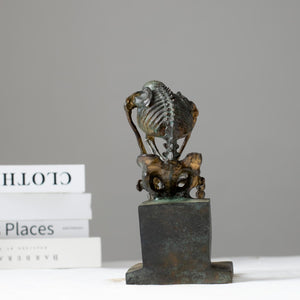 Bronze skeleton Thinker statue in antique grey bronze finish front view on white background