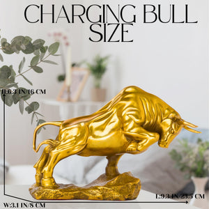 Close-up of golden yellow bull head and horn details.