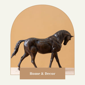 European Andalusian horse bronze sculpture black finish displayed against arch background