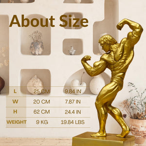 Gold bodybuilder bronze statue size chart showing 62cm height, 20lbs weight specifications