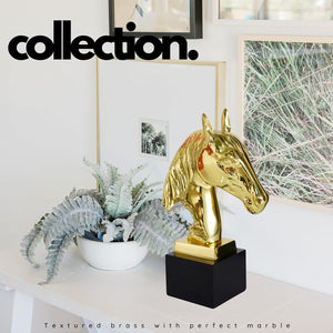 Gold brass horse head bust statue as luxury art collection piece displayed with indoor plant decor