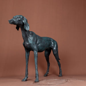 Premium Solid Bronze Greyhound Statue - 28" Handcrafted Lost-Wax Casting - Vigilant Life-like Greyhound Sculpture - Deep Turquoise Blue Patina - Heavyweight 26lbs Pure Bronze Art - Luxury Modern Home Office Centerpiece - Bronze - View Detail 5