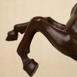 Close-up detail of bronze rearing stallion sculpture front leg and hoof showing rock base texture