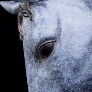 Back view of Still Water horse head bronze sculpture in frost patina showing detailed mane sculpting