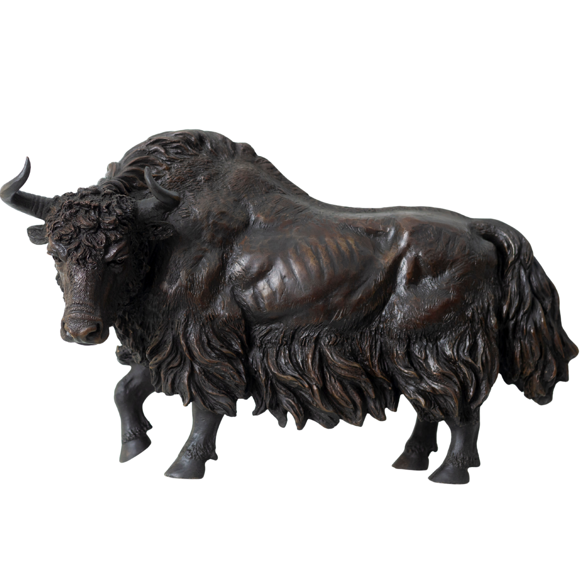 21-inch Giant black American bison bronze sculpture, front view.