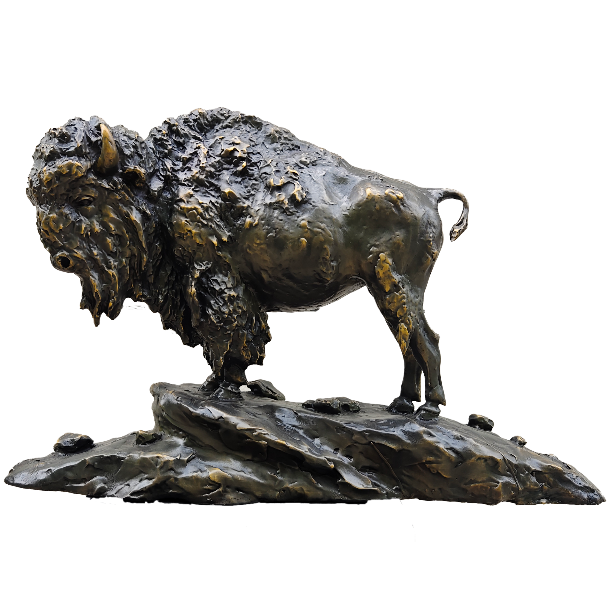 25-inch Guardian bronze American bison sculpture, front view.