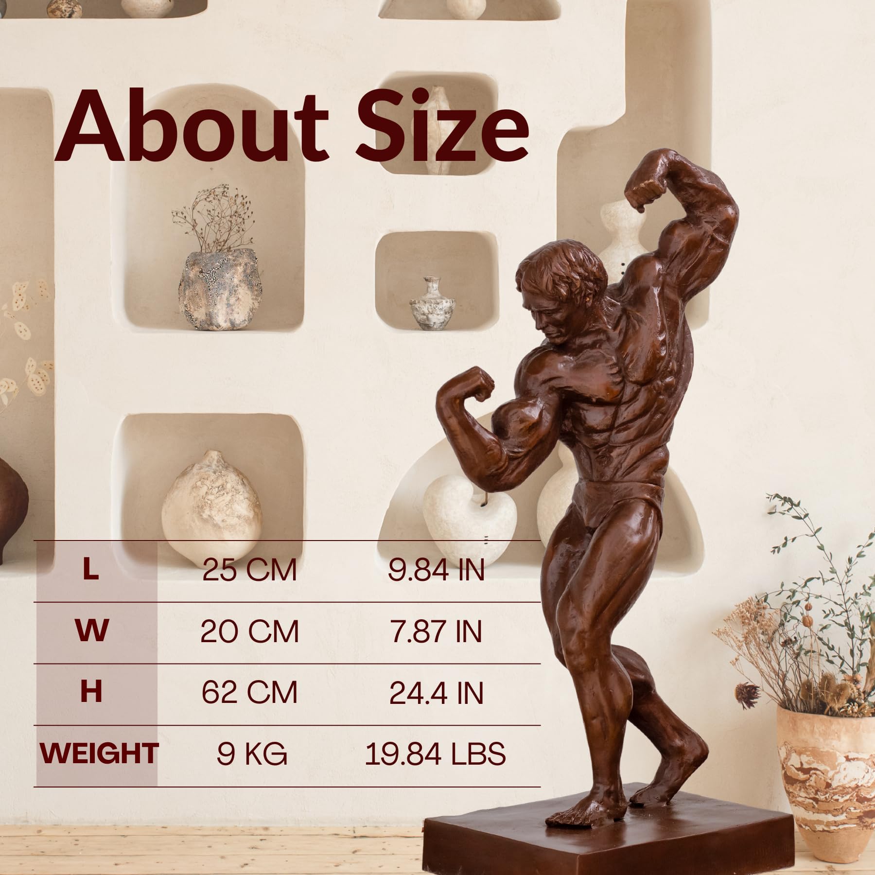 Bodybuilder bronze statue size chart showing 62cm height, 22cm width, 20lbs weight specifications