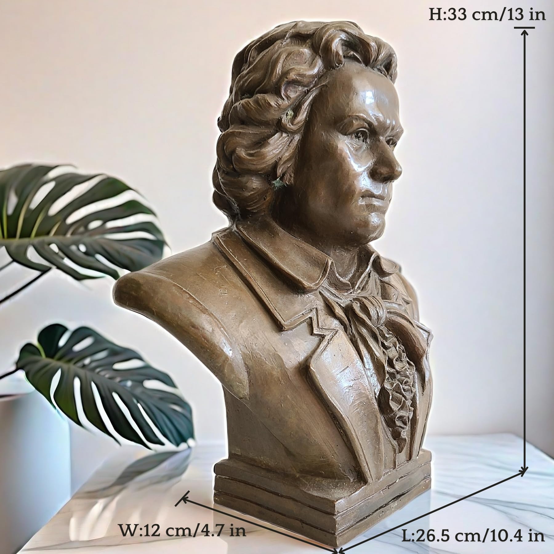 Bronze Beethoven bust statue size dimension reference with plant decor showing measurements
