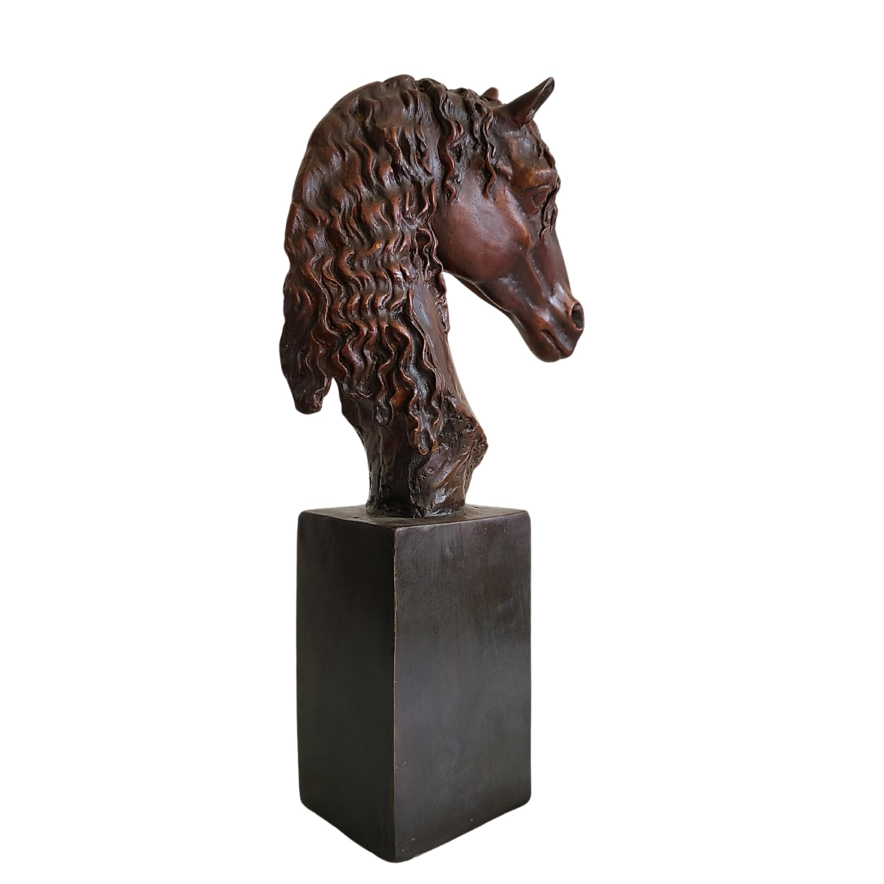 Bronze horse head bust curly mane style right side view on black square pedestal