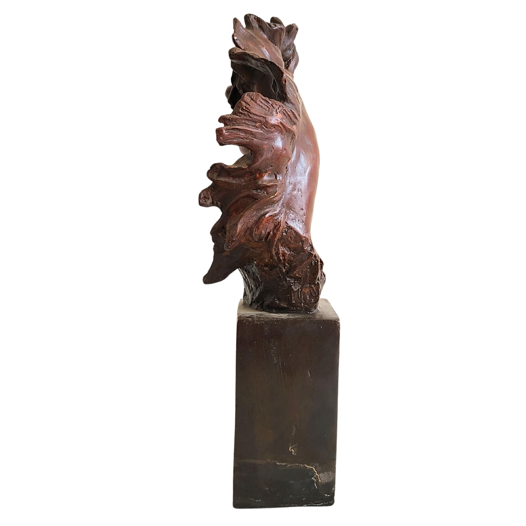 Bronze horse head bust sculpture wild mane style full side profile view on square marble base