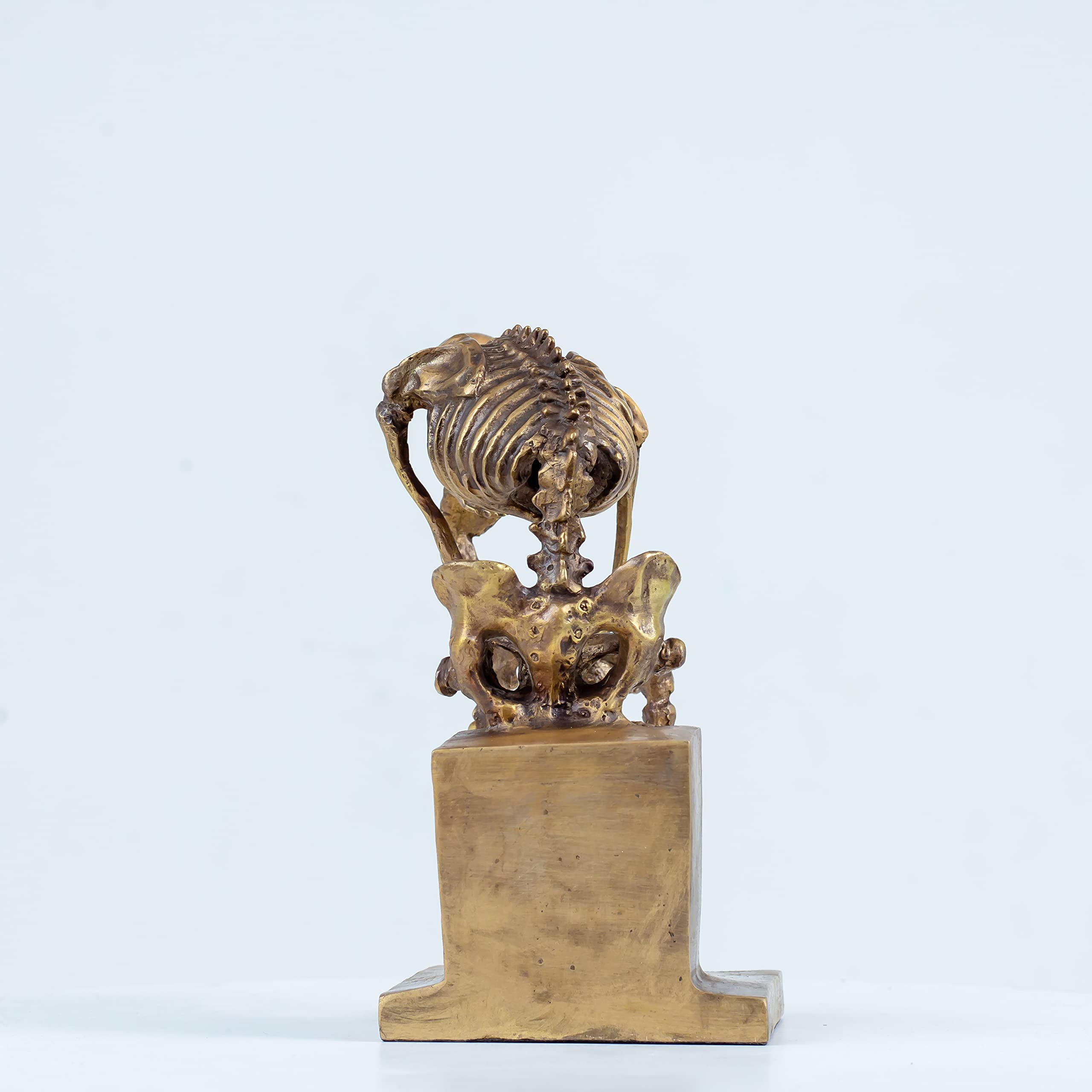 Bronze skeleton Thinker statue in gold finish three-quarter angle view on white background