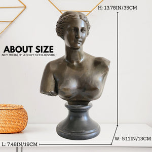 Bronze Venus de Milo bust statue about size reference chart showing height and weight measurements