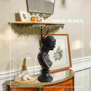 Bronze Venus de Milo bust statue eternal beauty theme displayed on coffee table