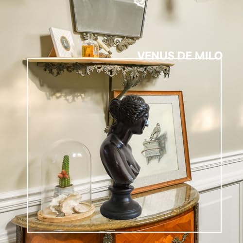 Bronze Venus de Milo bust statue eternal beauty theme displayed on coffee table
