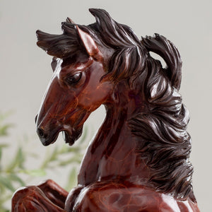 Close-up detail of elite rearing stallion bronze sculpture head and neck showing dark mane texture