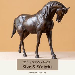 European Andalusian horse bronze sculpture black finish size and weight reference chart