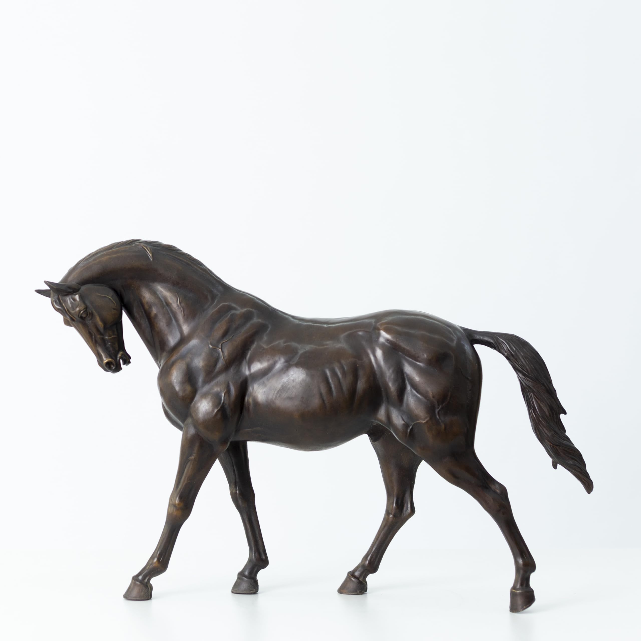 European Andalusian horse bronze sculpture in black finish, walking stallion side view on white background