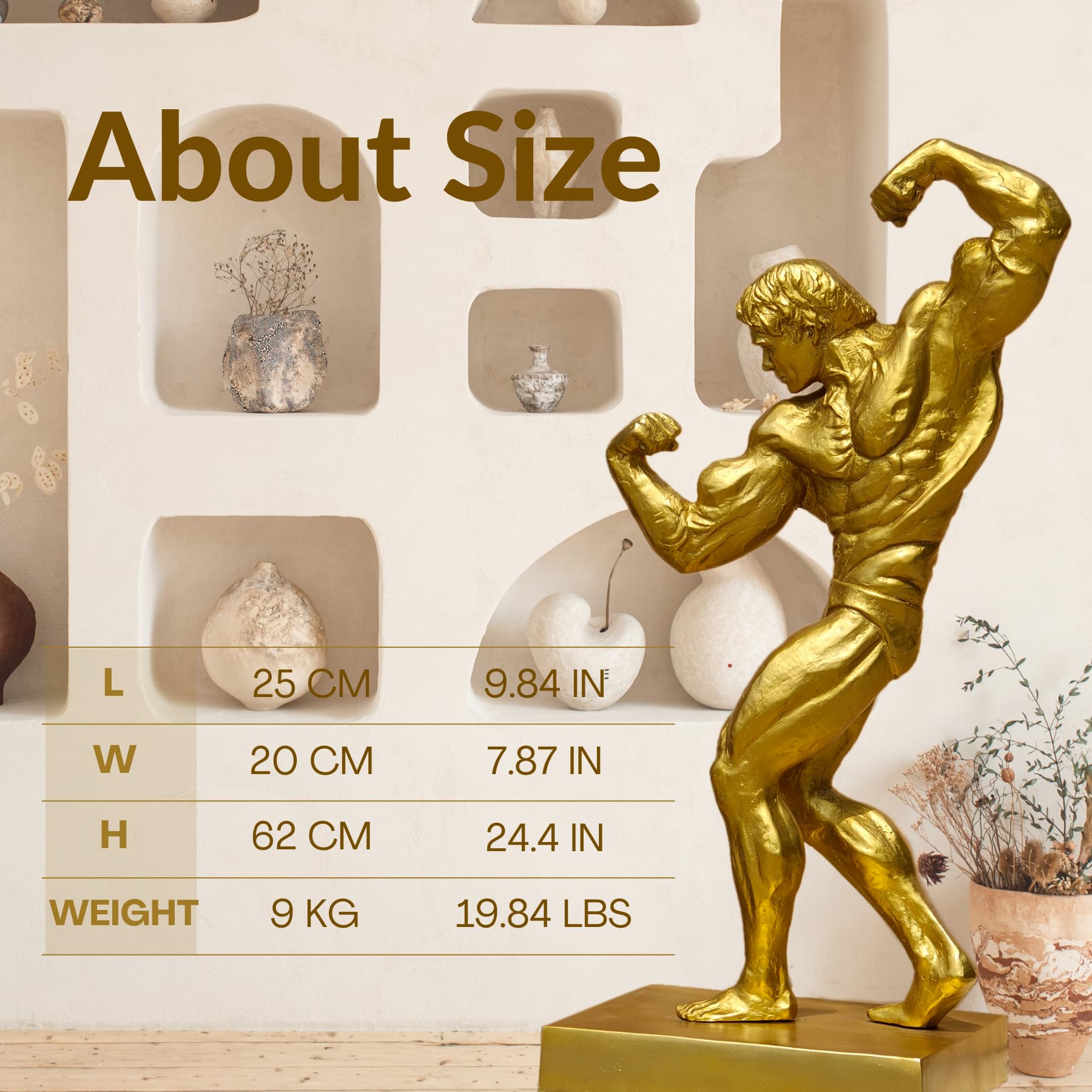 Gold bodybuilder bronze statue size chart showing 62cm height, 20lbs weight specifications