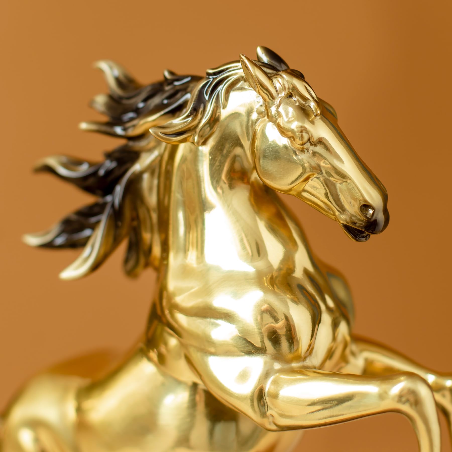 Close-up detail of radiant gold rearing horse bronze sculpture head showing polished gold finish