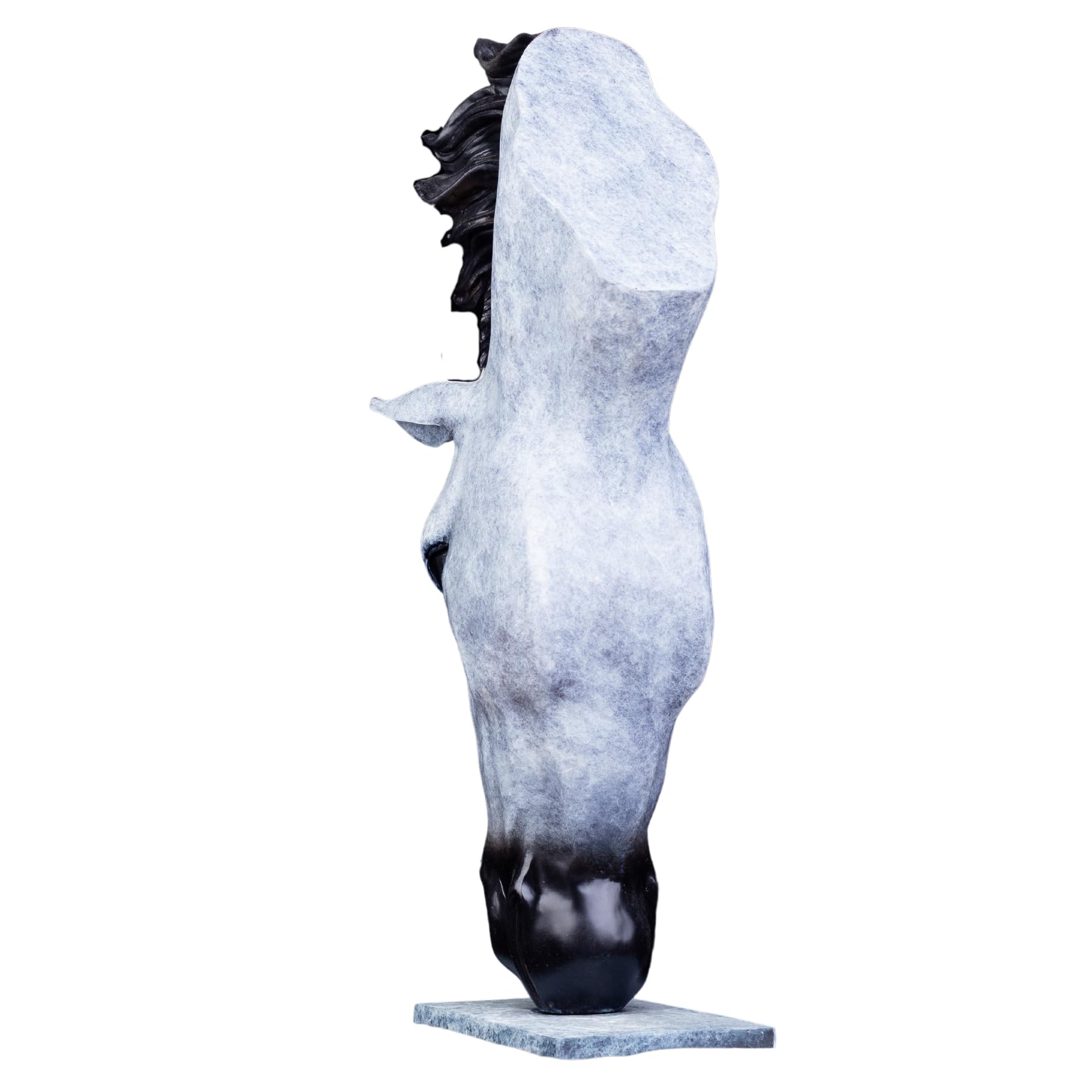 Still Water horse head bronze sculpture Nordic snow white left side view showing obsidian black nose detail